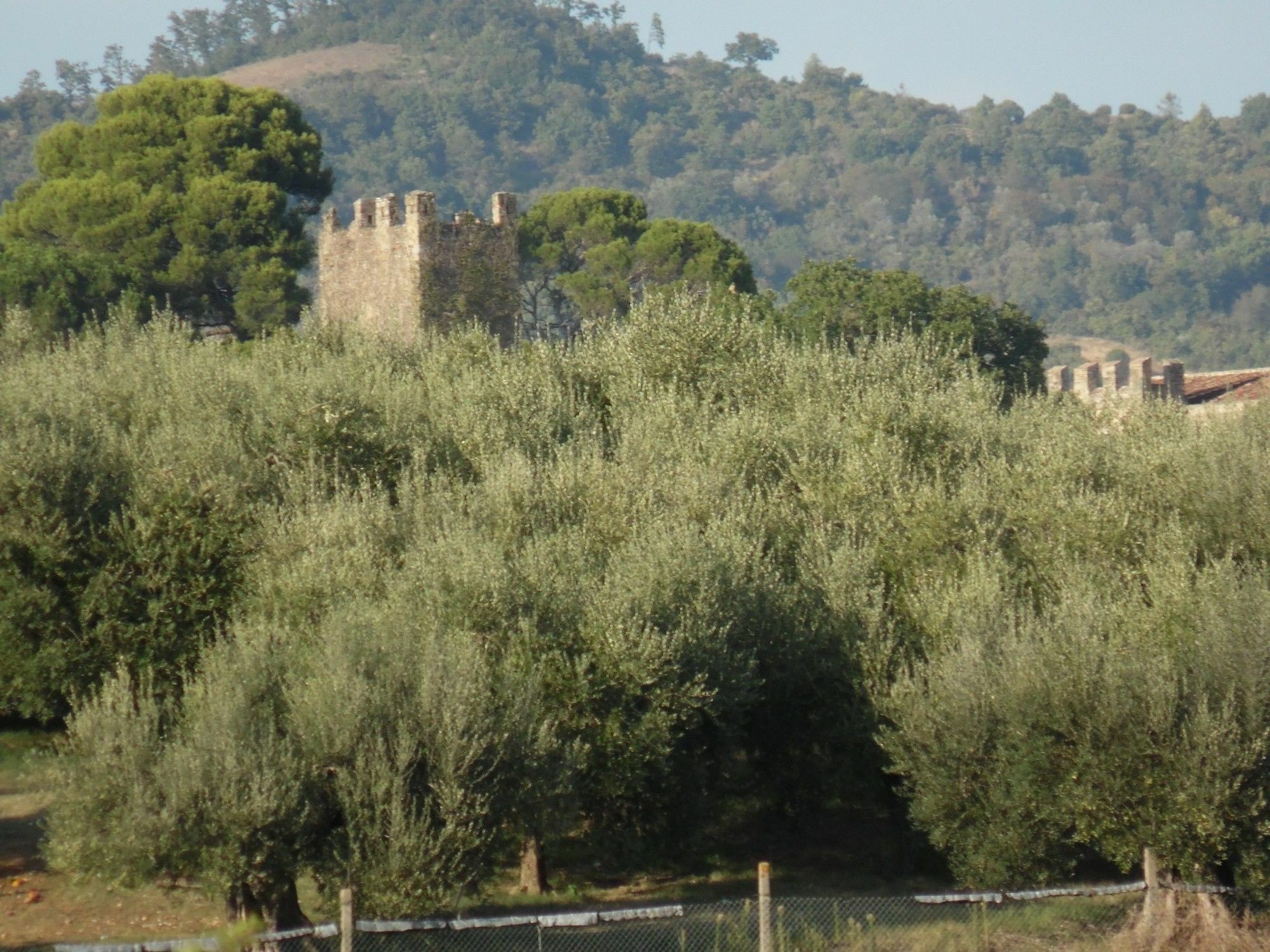 Podere Caldaruccio La Pineta Perugia Bagian luar foto